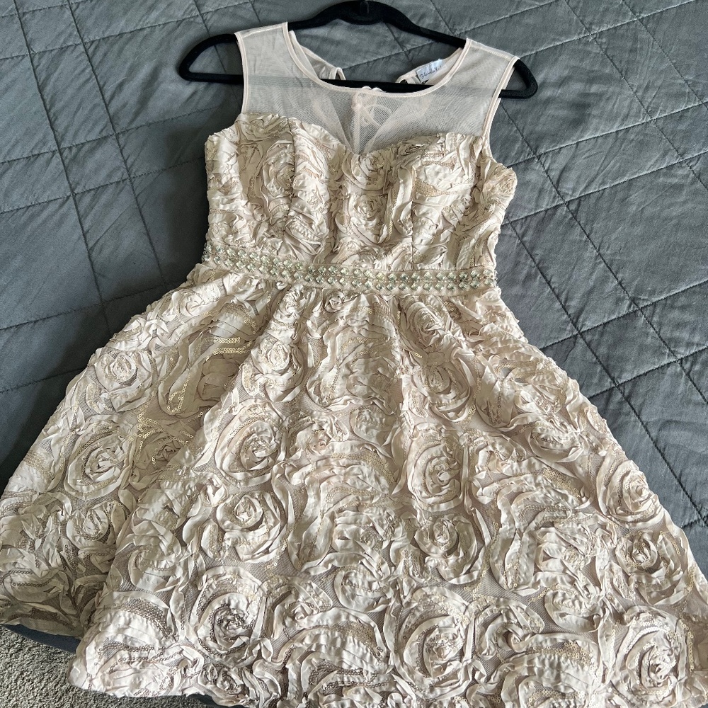 Gabriella Rocha Dress